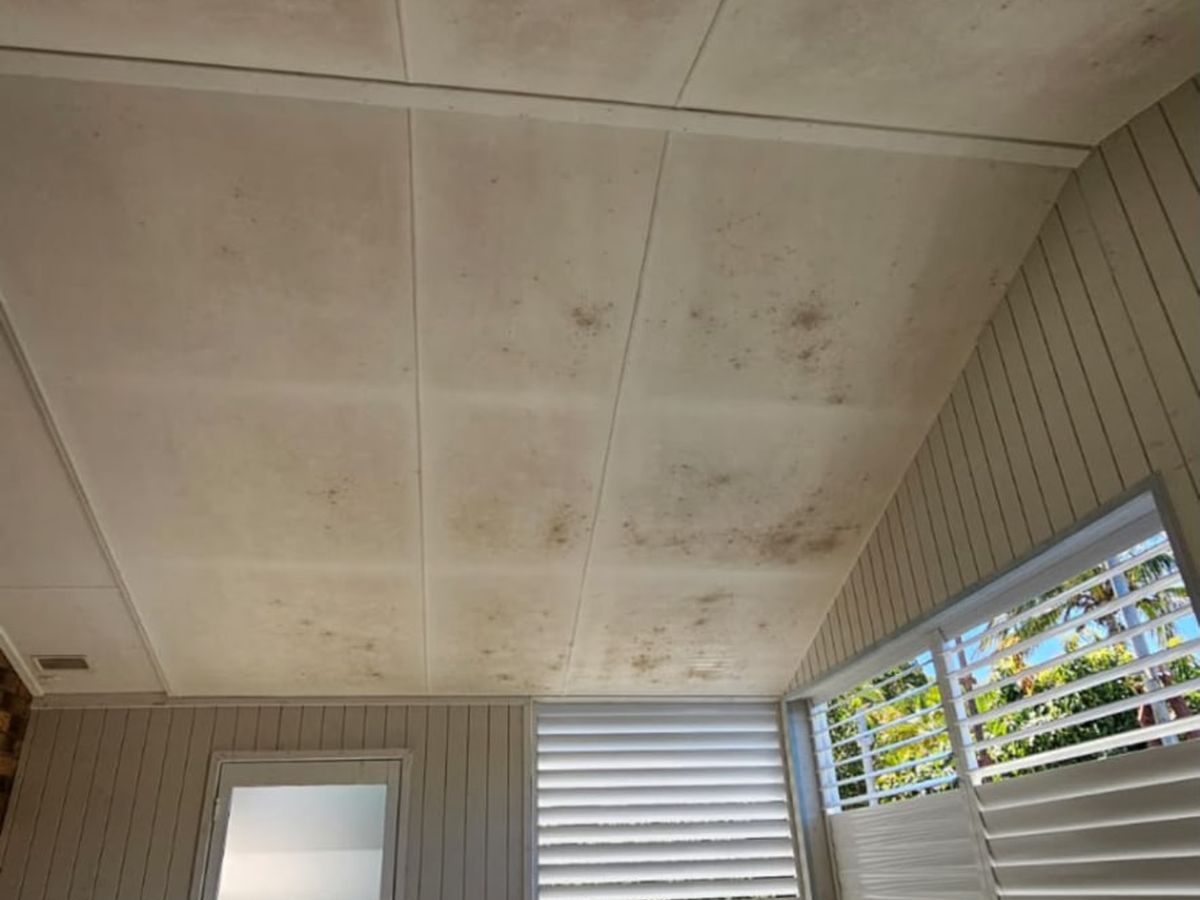Weathered patio ceiling with mould staining before painting